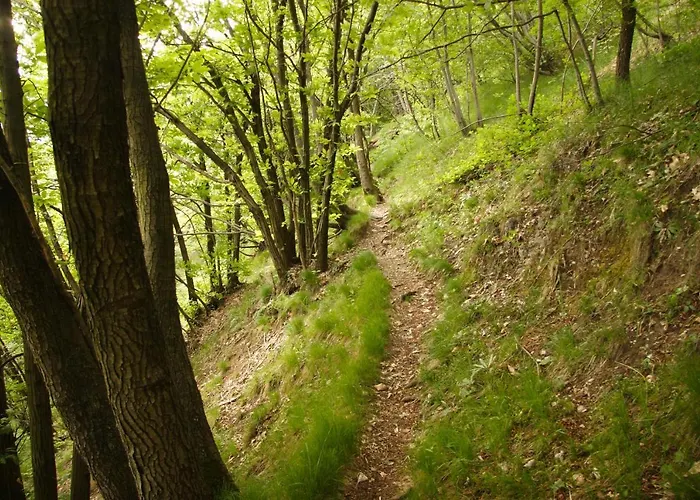Il Nibbio Hotel Magreglio